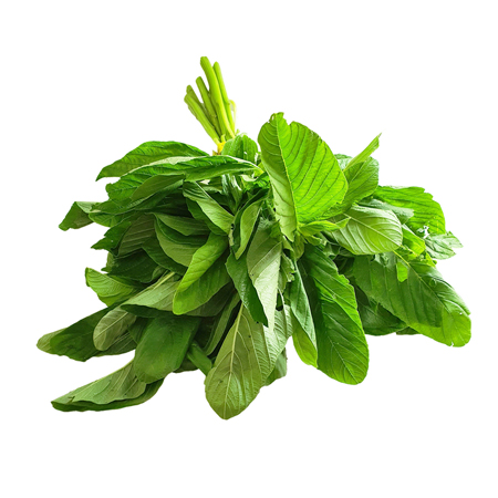 Leafy Vegetable Processing Line