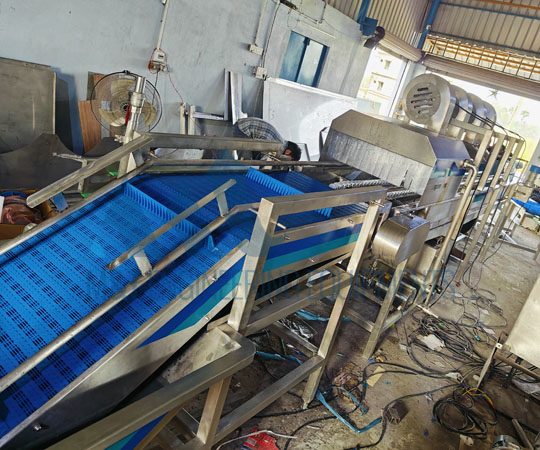 Mango Processing Line