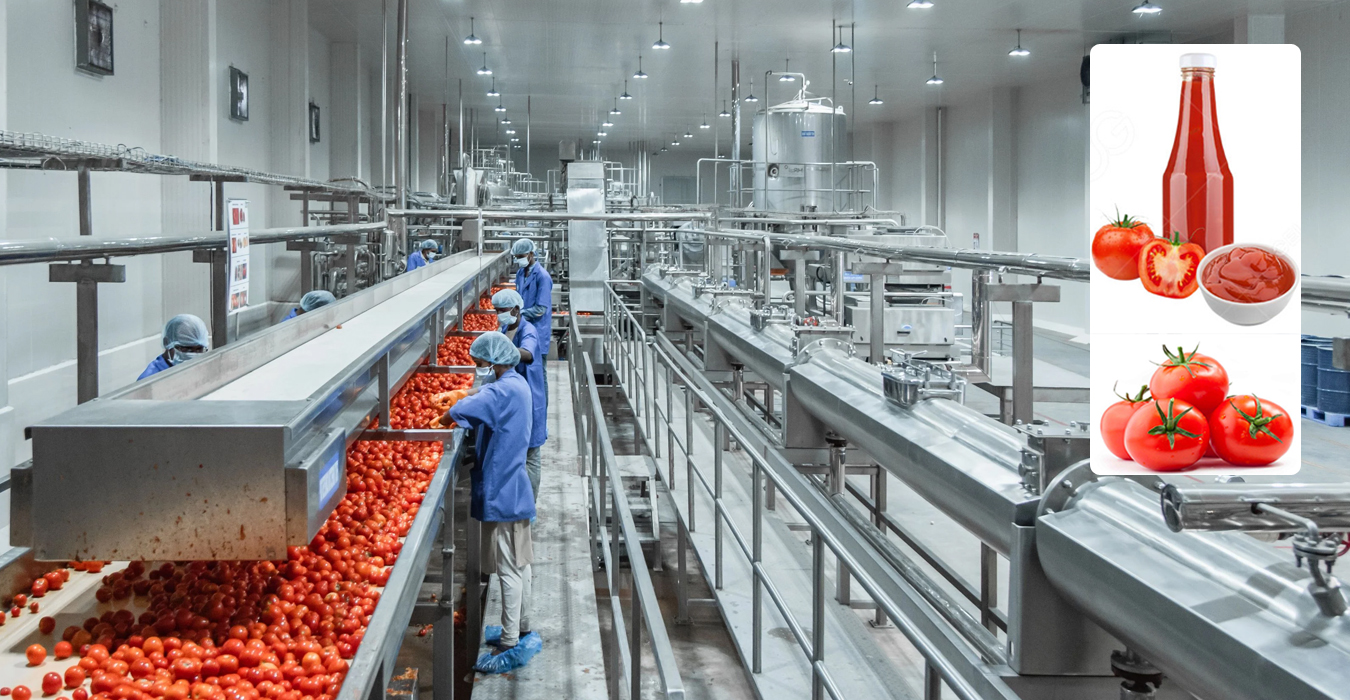 Ketchup/Paste/Jam/Jelly Processing Line