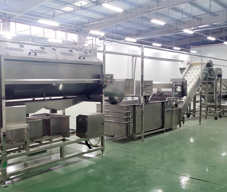 Mango Pulp Processing Line