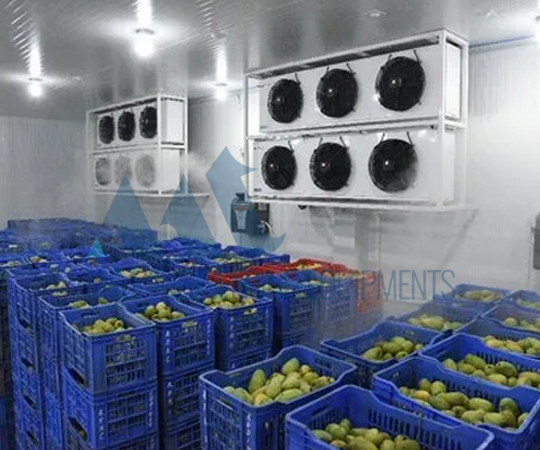 Orange Processing Line