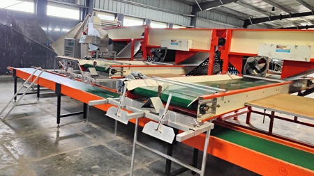 Sweet Corn Processing Line
